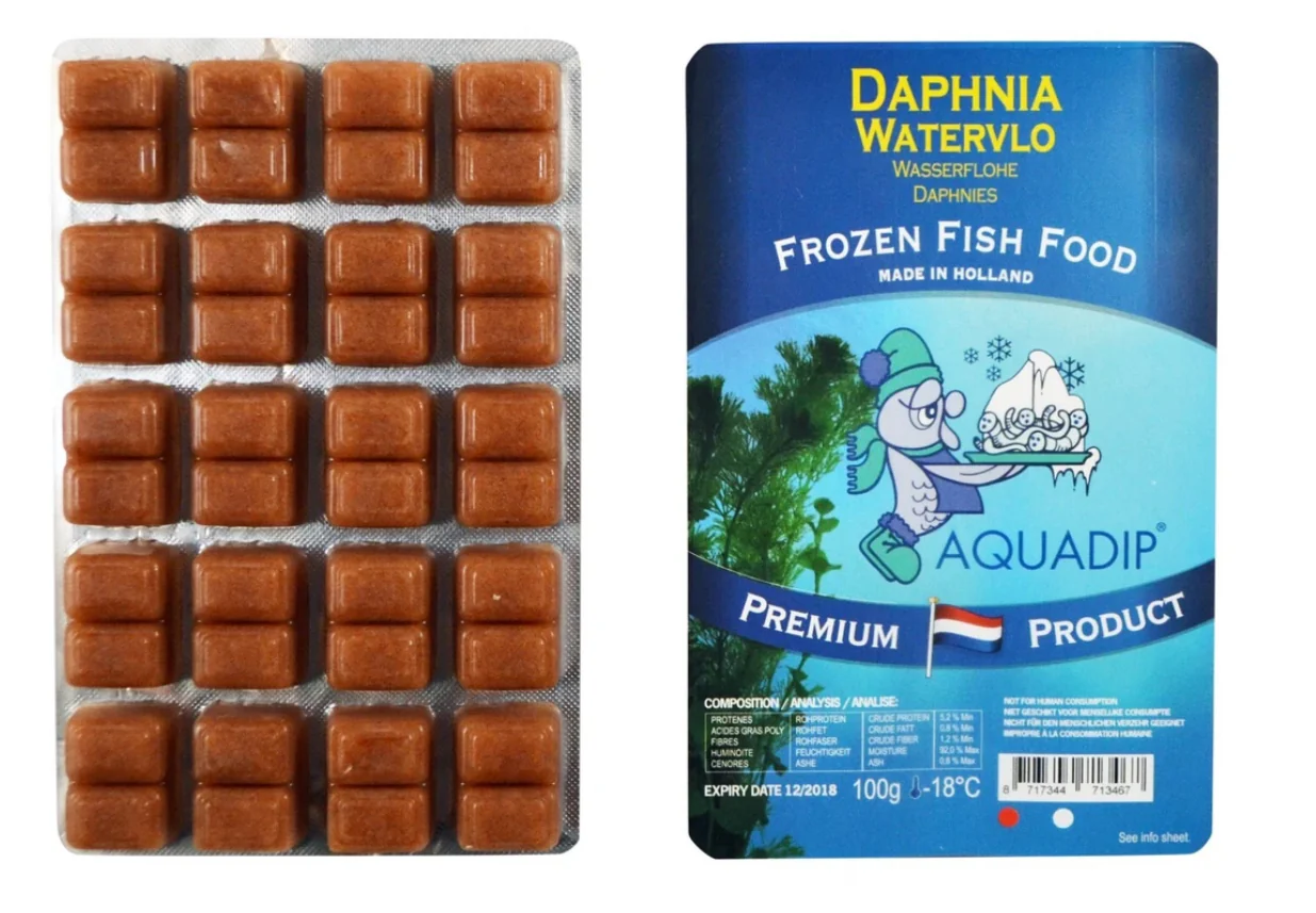 Frozen daphnia blister pack 100g x 5 - Image 2